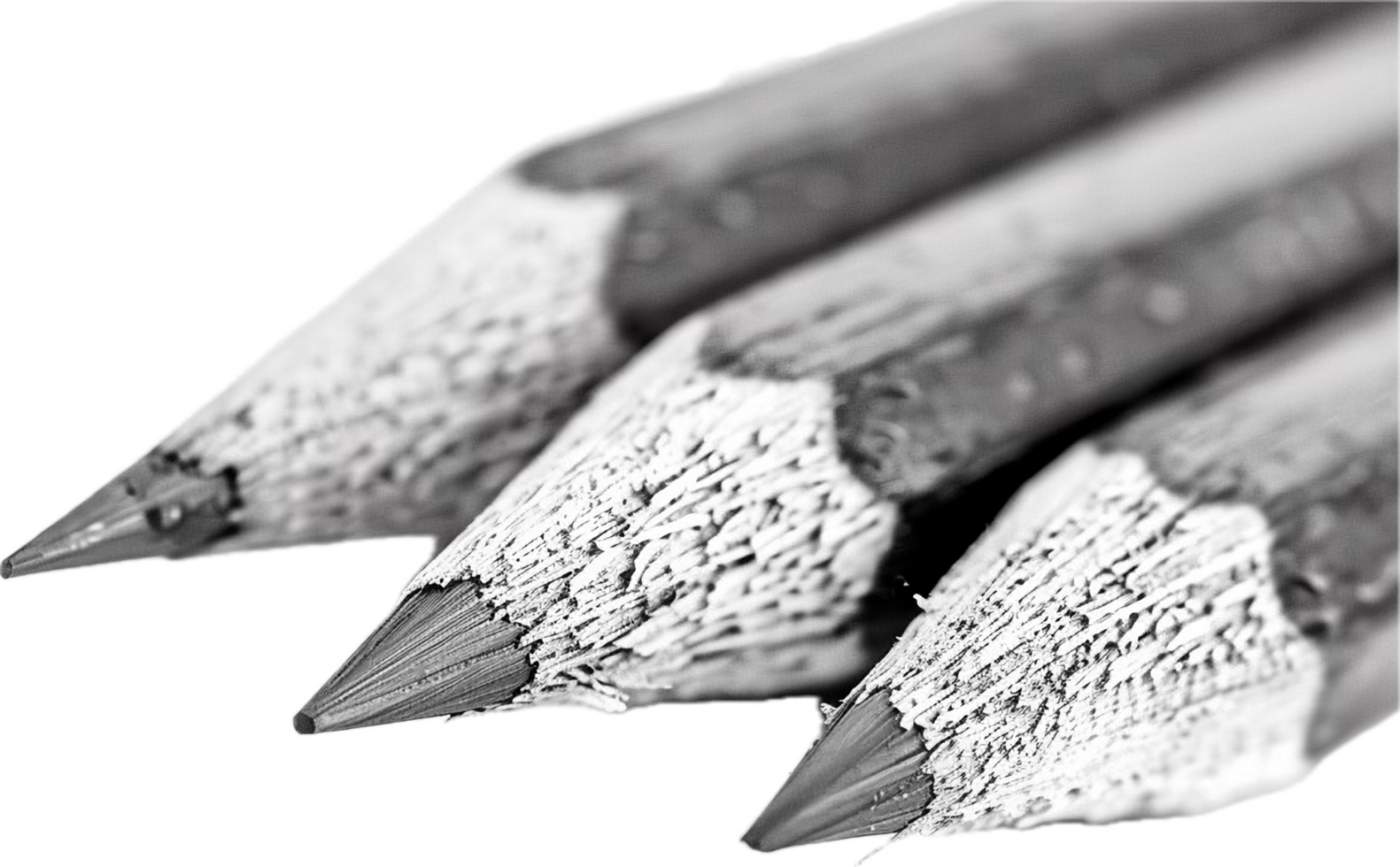 AI generated Black and White Sharpened Pencils Close-Up png