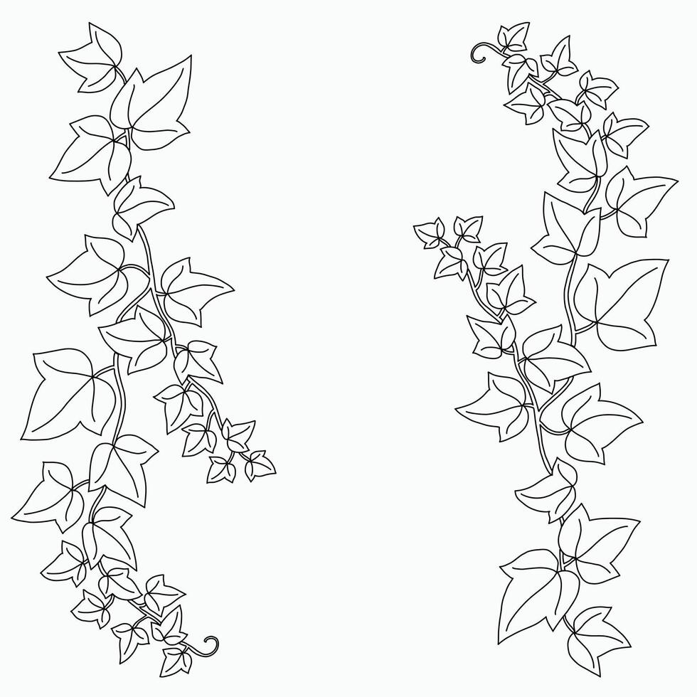 hiedra floral dibujo ornamento decorativo diseño plano. vector