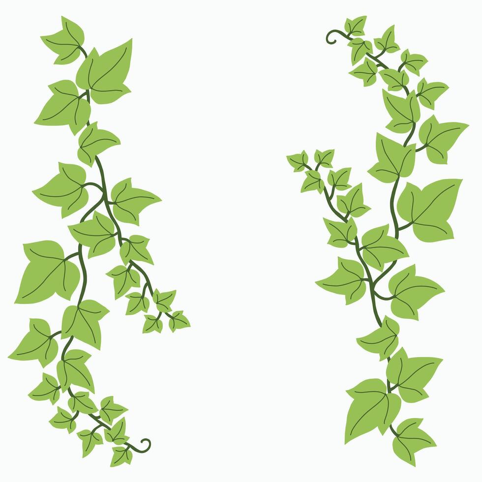 Floral ivy drawing decorative ornament flat design. vector