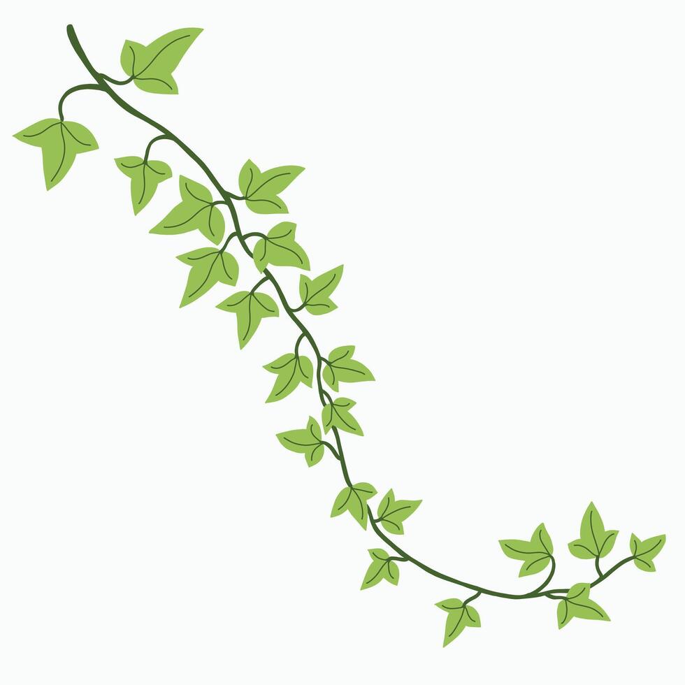 Floral ivy drawing decorative ornament flat design. vector