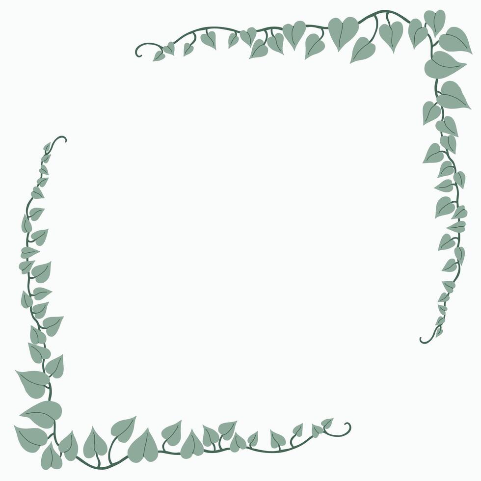 Floral ivy drawing decorative ornament flat design. vector