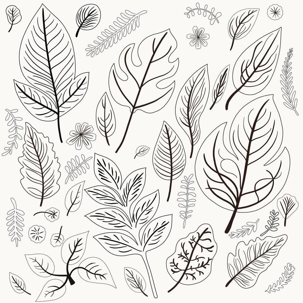 Simplicity autumn leaf freehand drawing flat design. vector