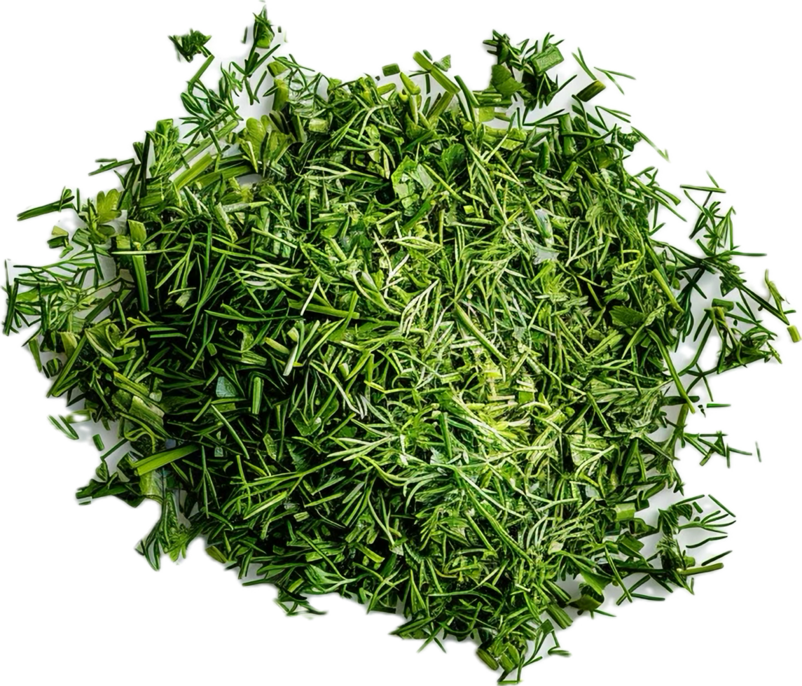 AI generated Fresh Dill Herb png