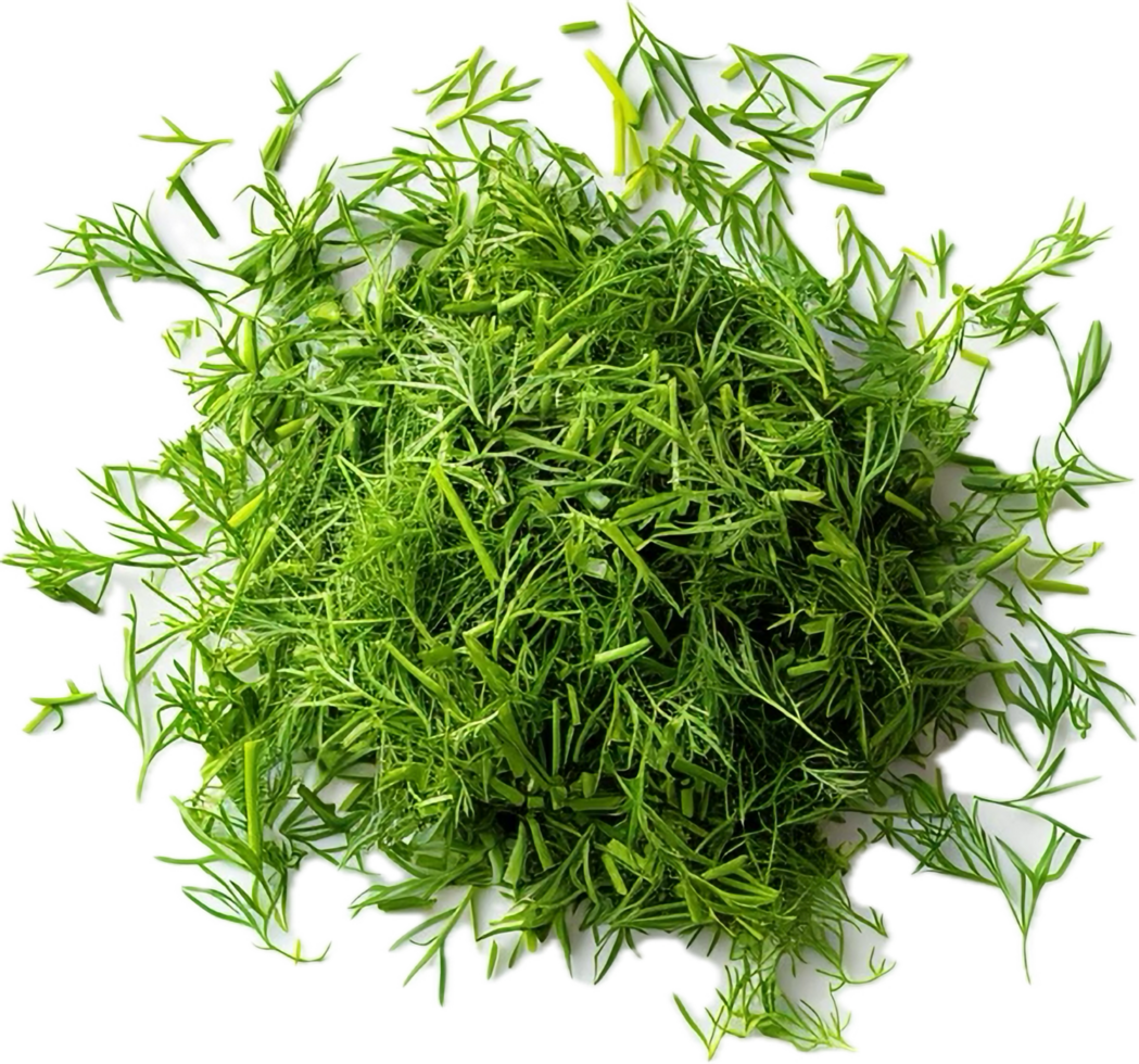 AI generated Fresh Dill Herb png