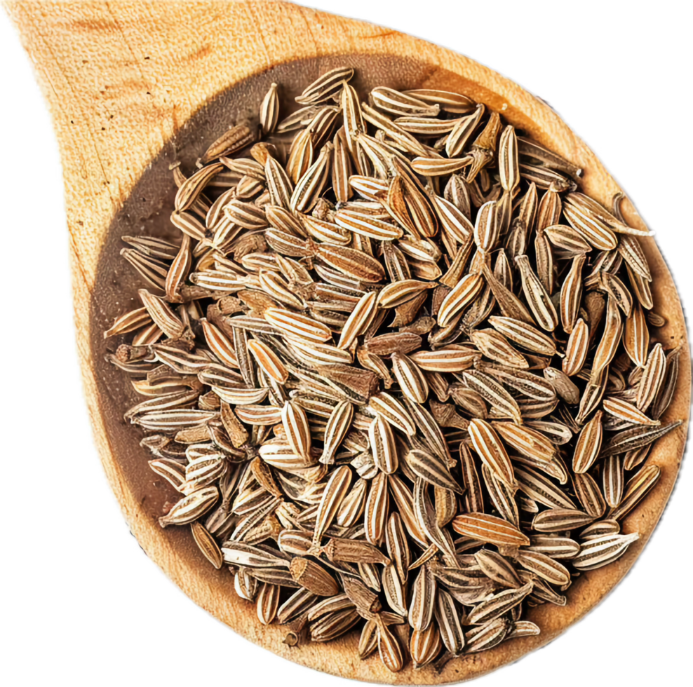 AI generated Dried Cumin Seeds in Wooden Spoon png