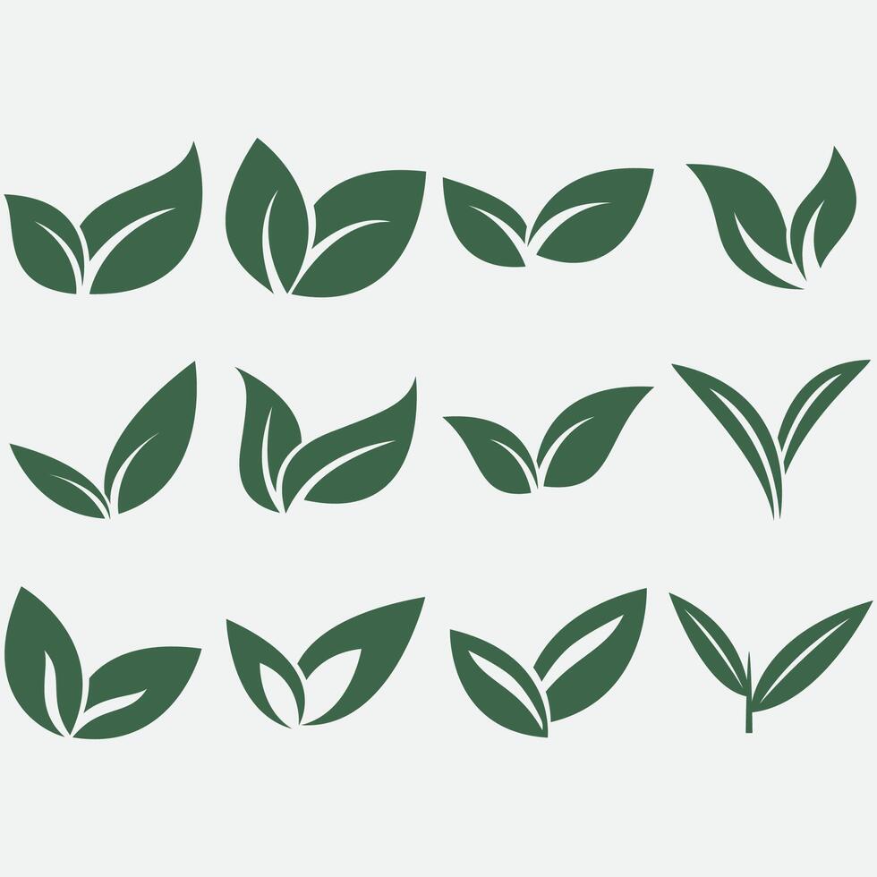 Collection of leaf logos vector