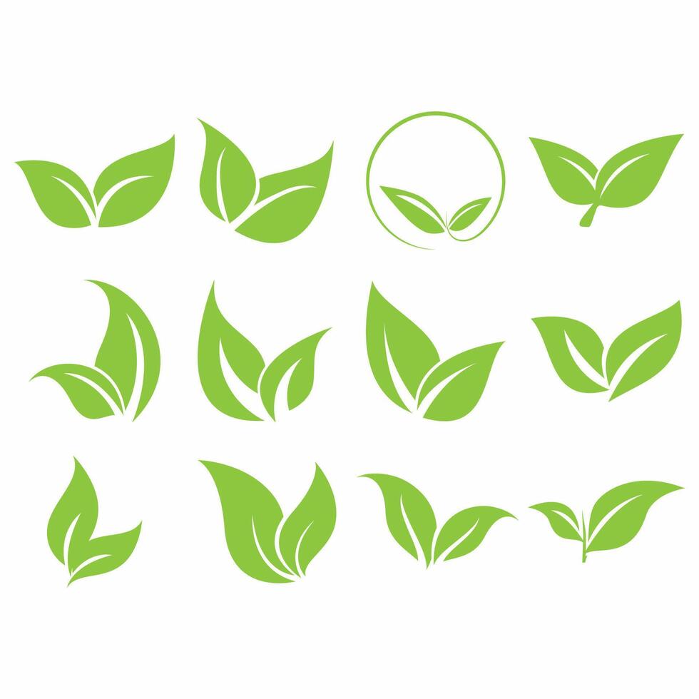 Collection of leaf logos vector