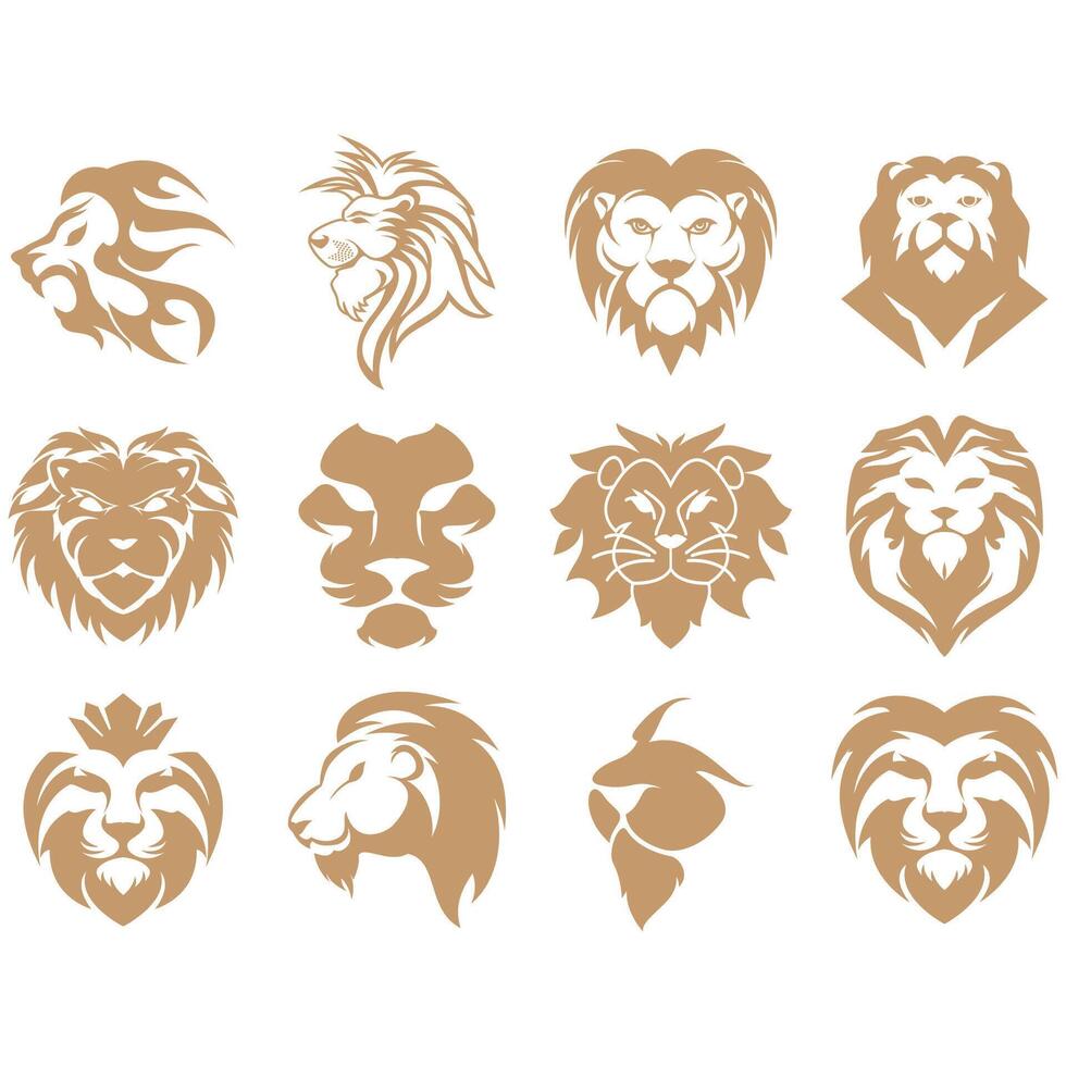 collection of lion logos vector
