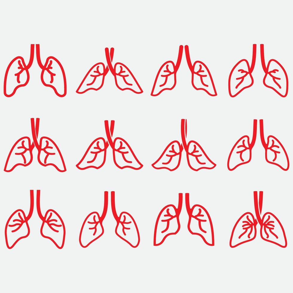 collection of lungs vector