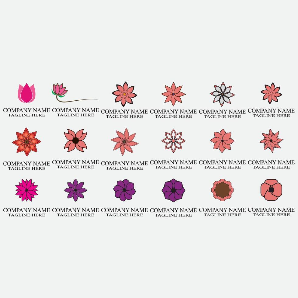 collection of abstract flower vector