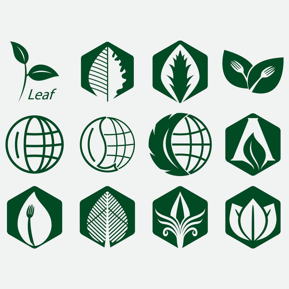 Collection of leaf logos vector