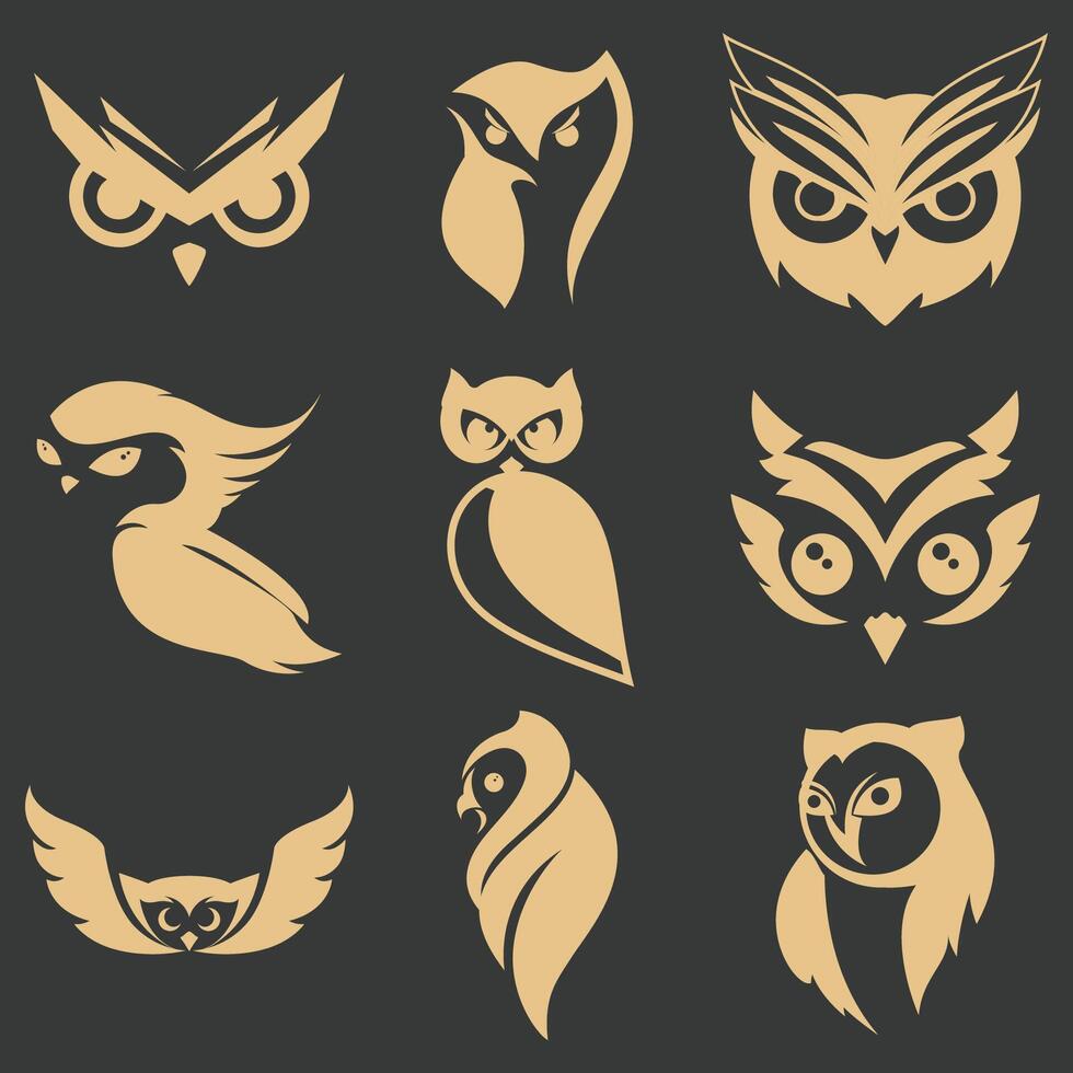 collection of owl vector