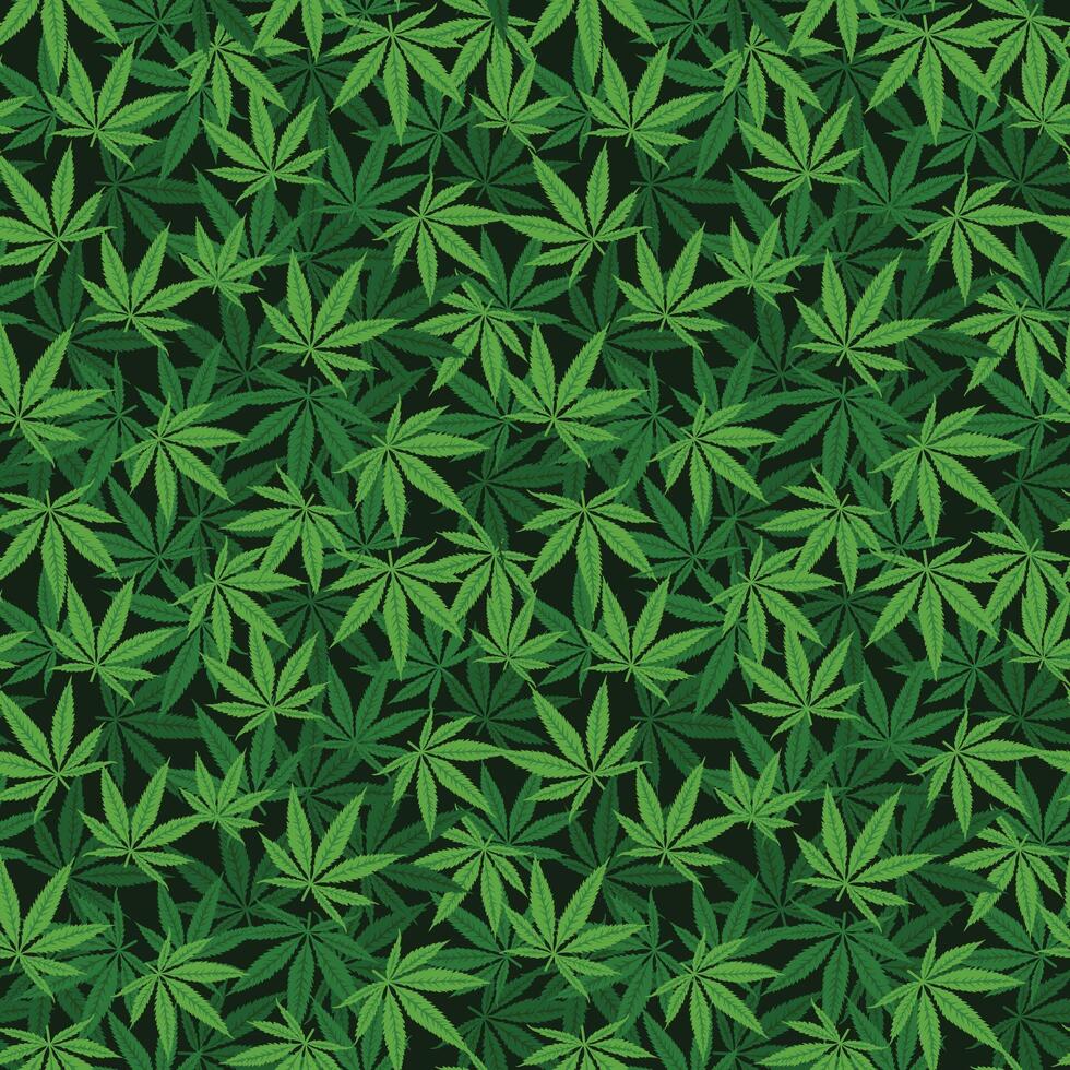 Seamless vector pattern of hand drawn marijuana leaves
