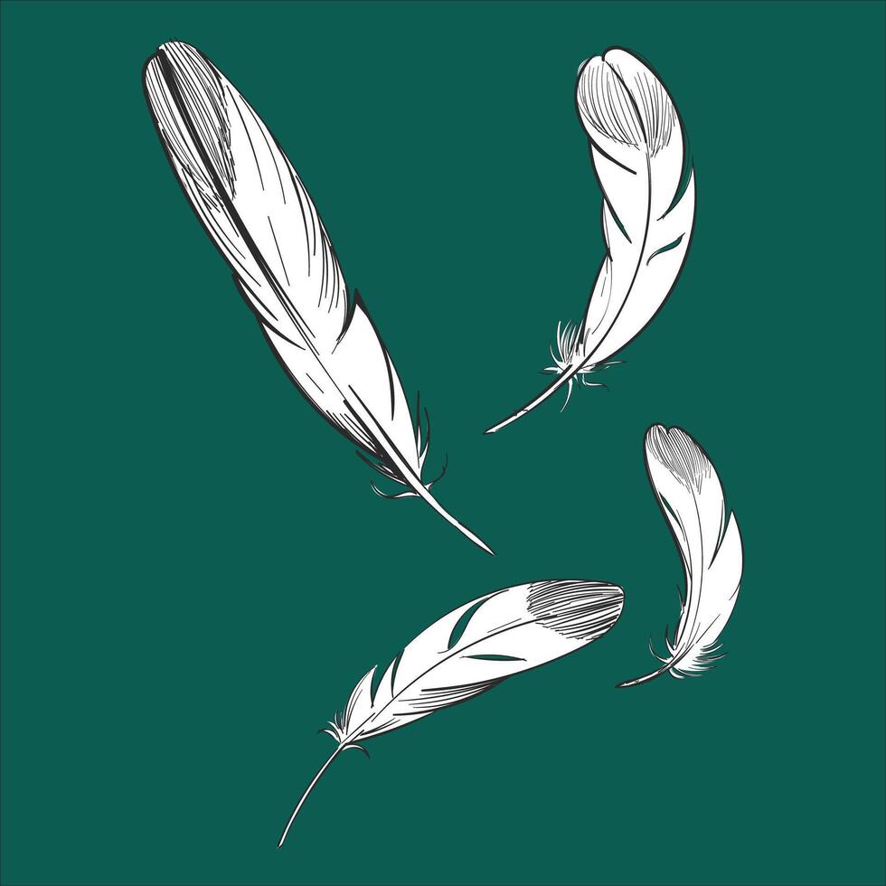 un dibujo de Tres plumas en un verde antecedentes. vector