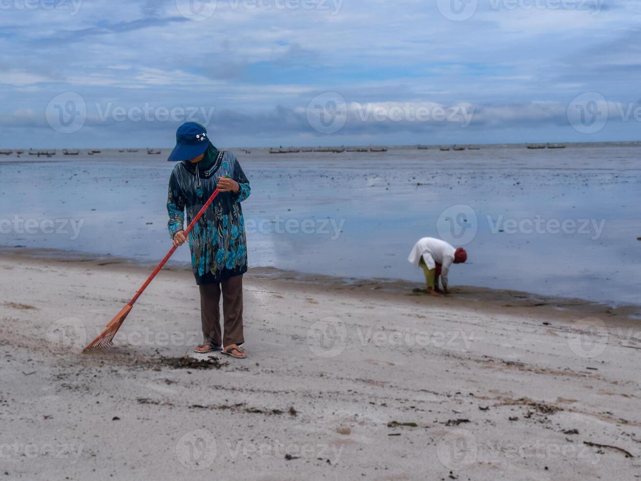 alguien quien es que lleva fuera basura limpieza ocupaciones alrededor el playa, verde tierra, costero limpiar día foto