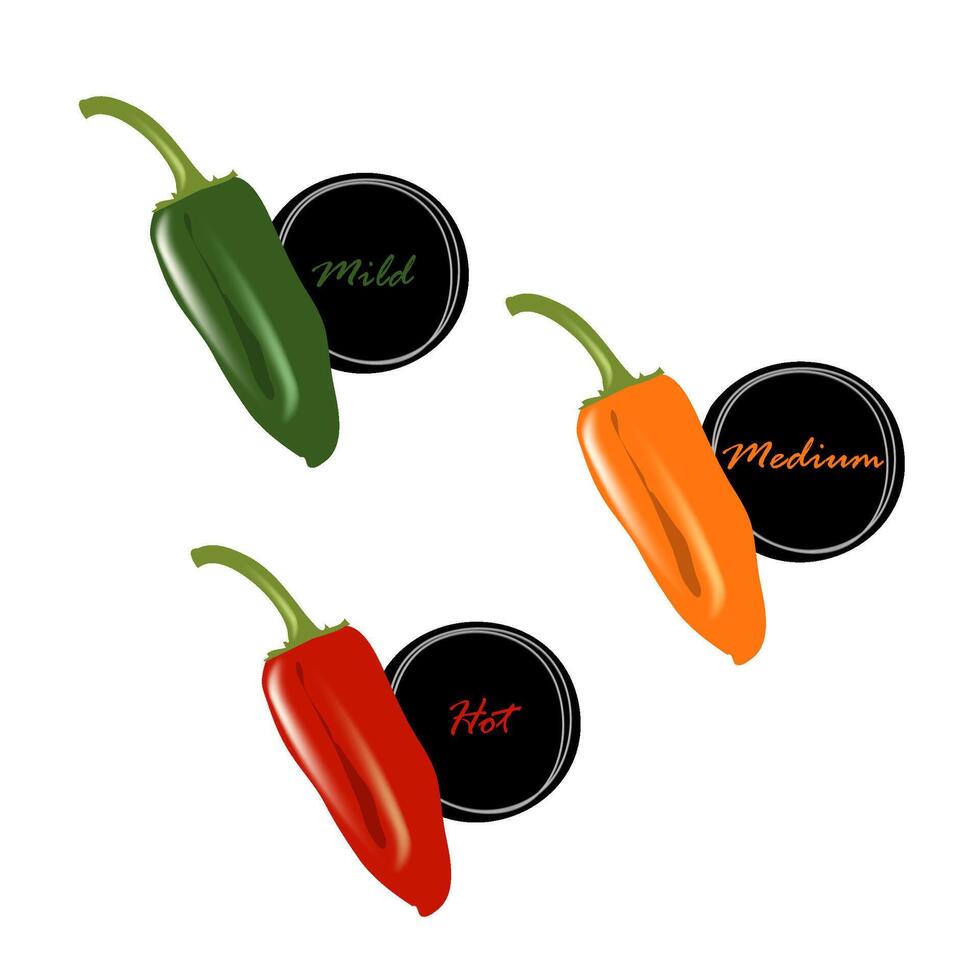 Mild   Medium Spicy dish signs vector