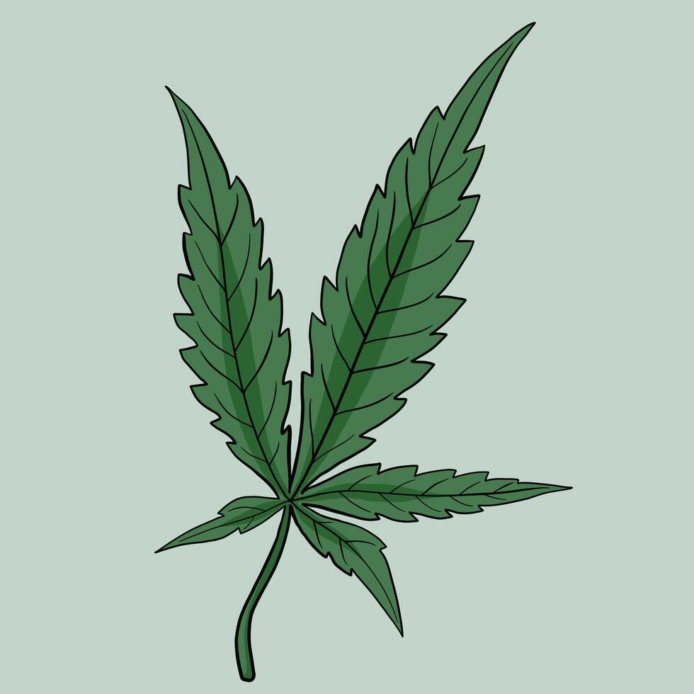 simplicidad hoja de cannabis dibujo a mano alzada diseño plano. vector