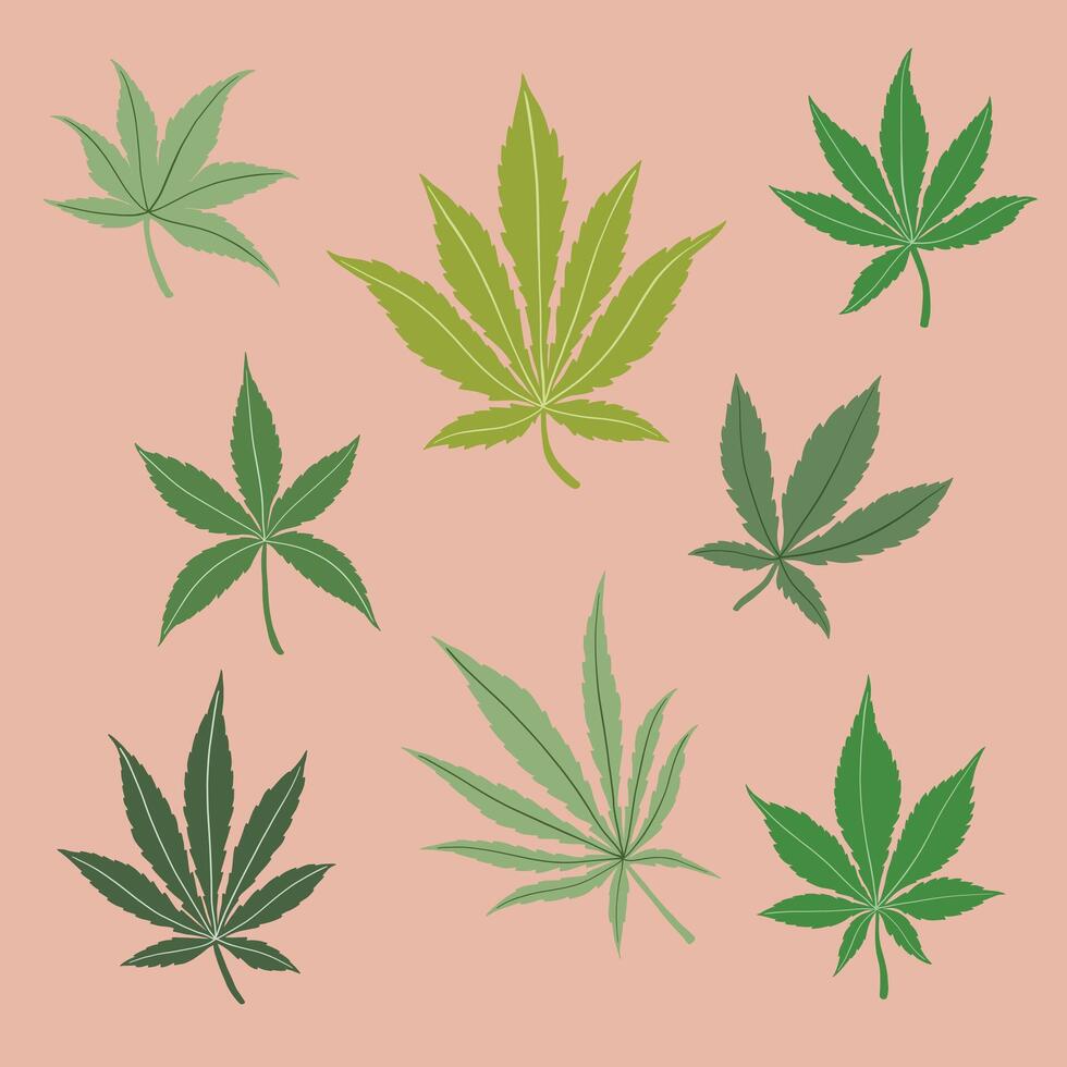 simplicidad hoja de cannabis dibujo a mano alzada colección de diseño plano. vector