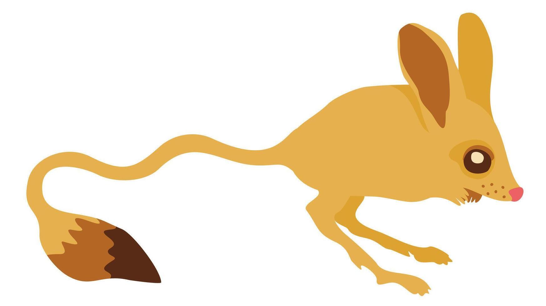 Jerboa. Small cute rodent with long tail. Vector isolated illustration