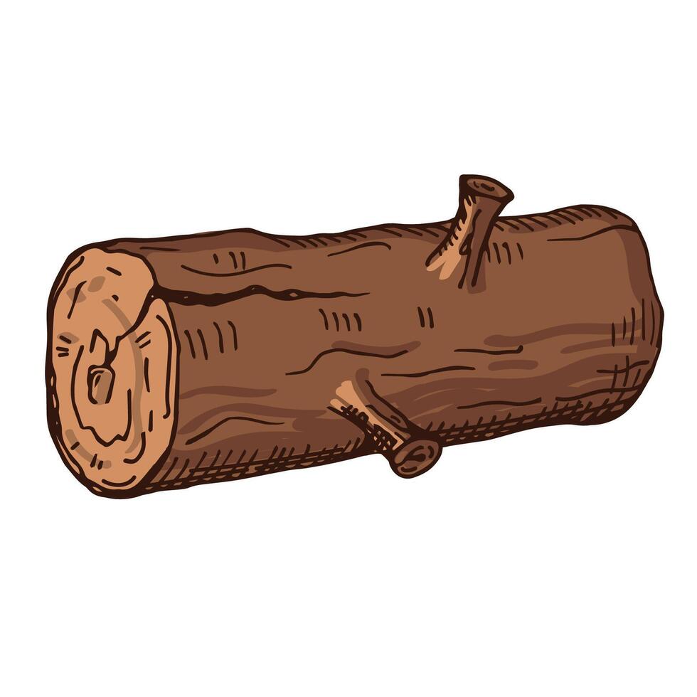 Log hand drawn flat vector illustration on isolated background. Trunk block of wood with the cut twig, timber, Isometric close-up illustration. Wooden material, nature. Design element for print, paper