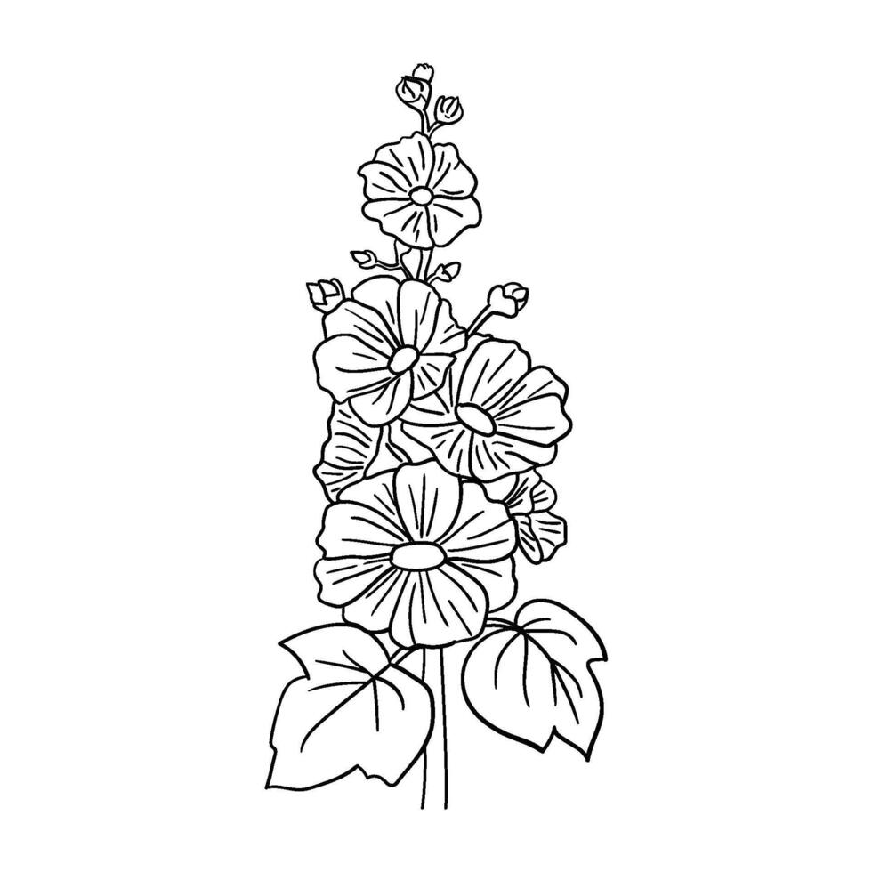 Hand drawn vector malva or alcea rosea flowers, vector illustration