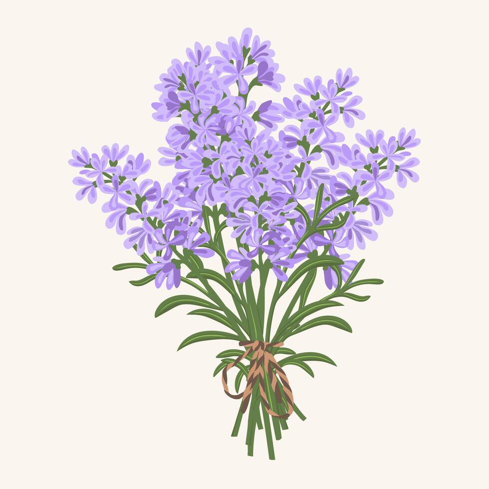 Hand drawn vector illustration of  violet lavender flowers bouquet