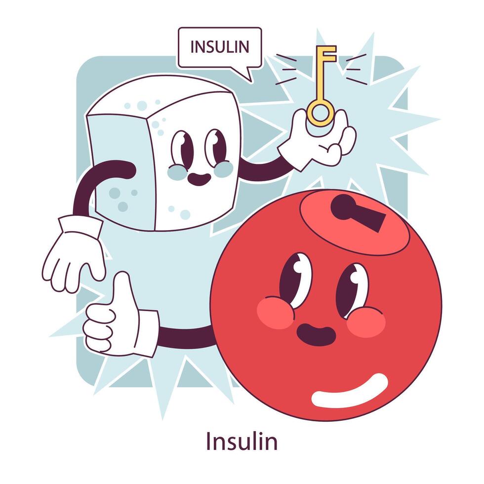endocrino sistema. insulina función. páncreas glándula hormonas secreción vector