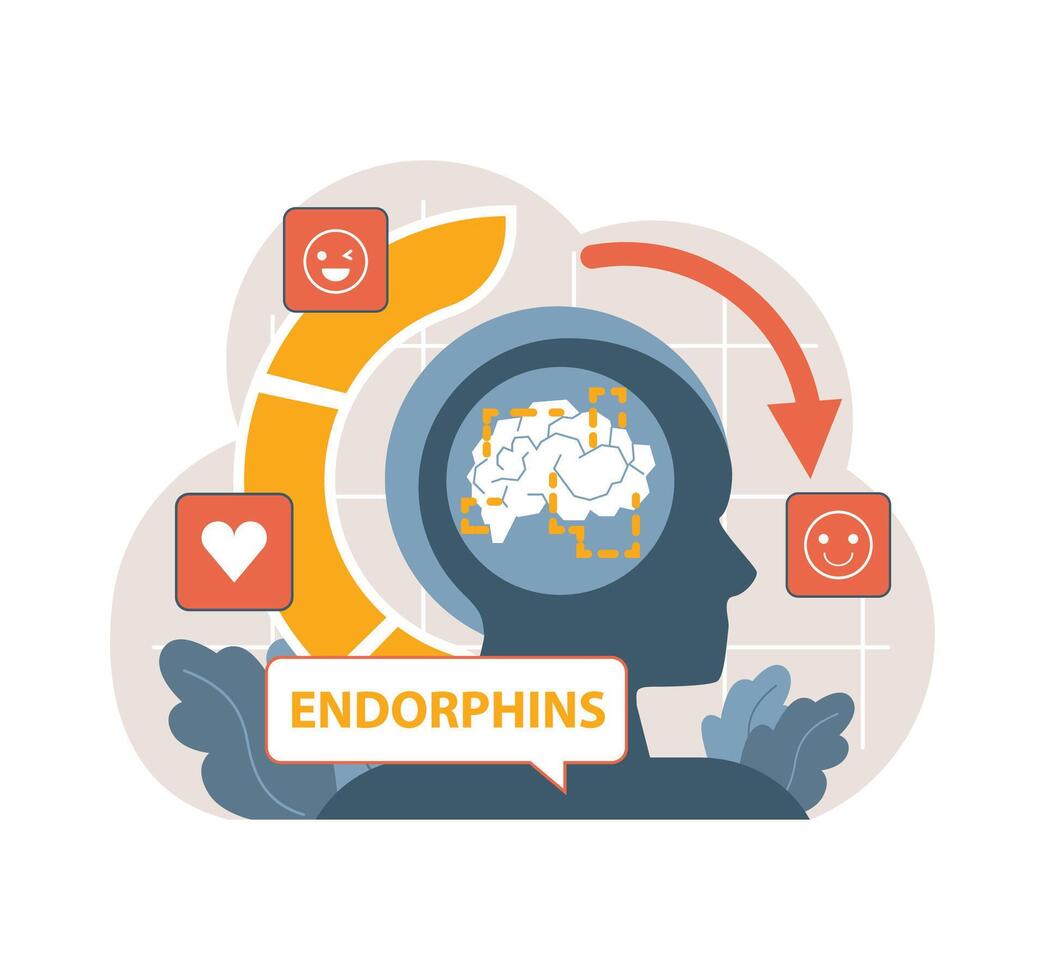 Illustration showcasing the brain's endorphin release, triggering happiness. Flat vector illustration