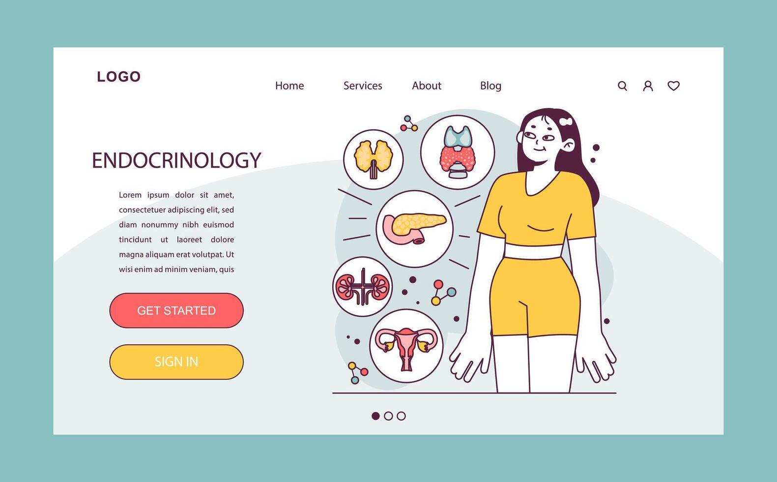 Endocrinology web banner or landing page. Endocrine system organs vector