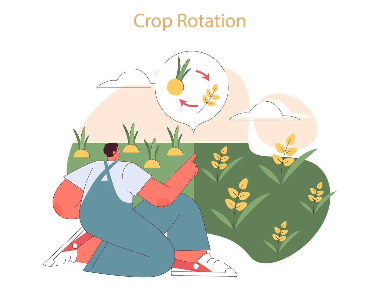 Crop Rotation concept. vector