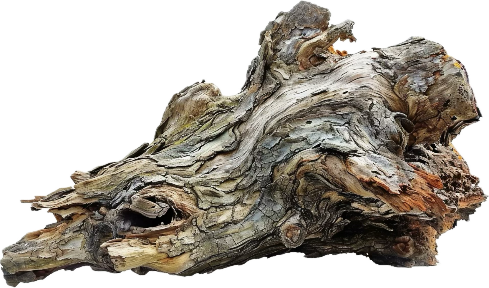 AI generated Weathered Log with Peeling Bark Texture png