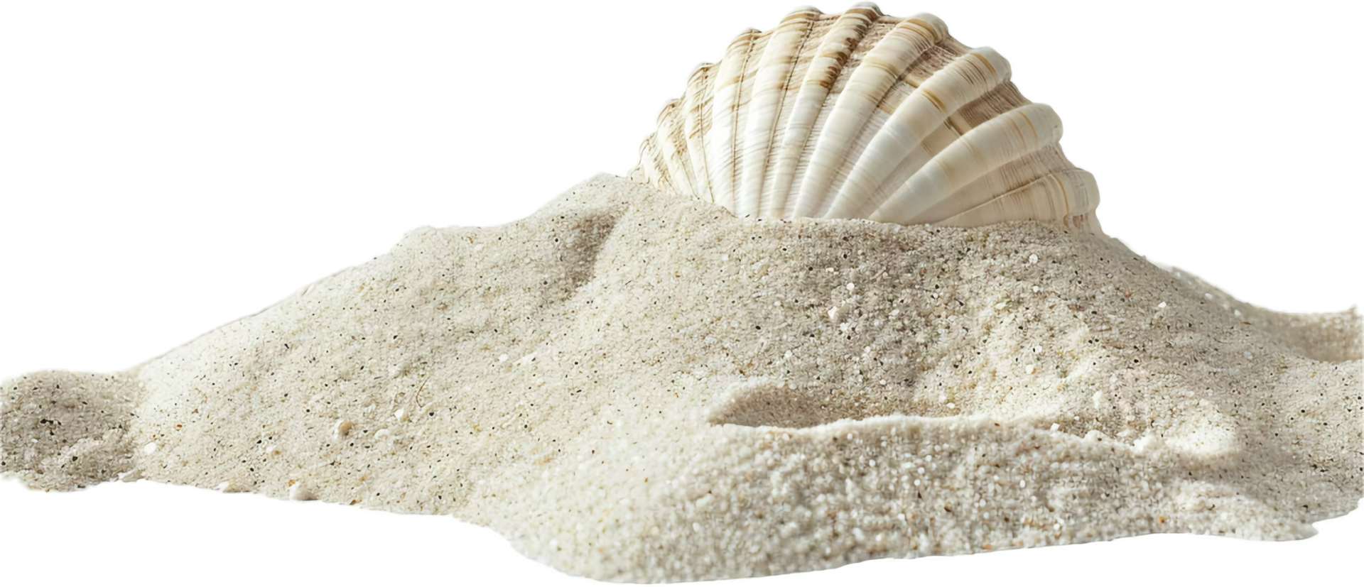 AI generated Seashell on Sand png