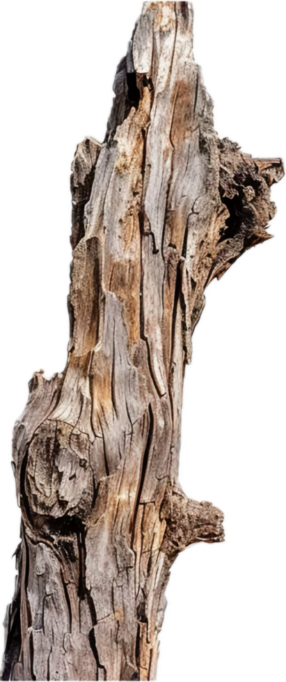 AI generated Weathered Log with Peeling Bark Texture png