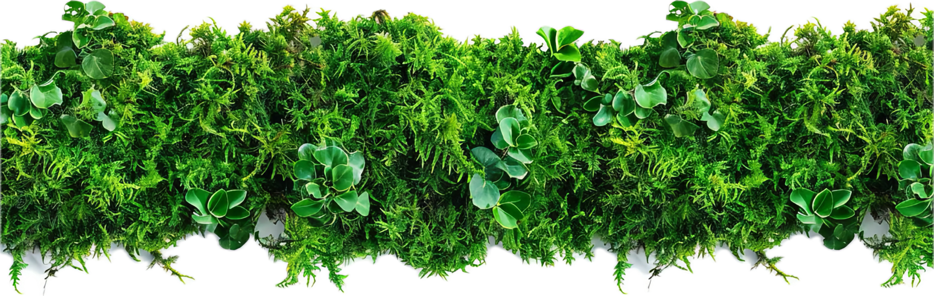 AI generated Lush Greenery Wall for Garden Decoration png