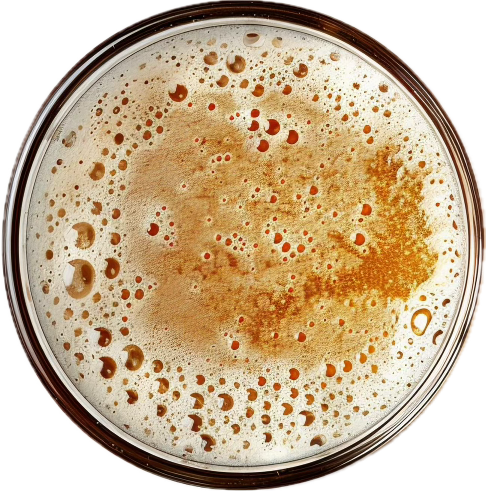 AI generated Top View of Fresh Beer with Foam and Bubbles png