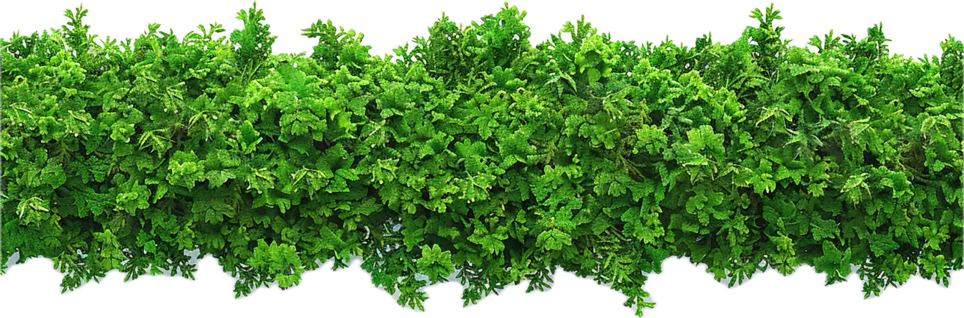 AI generated Lush Greenery Wall for Garden Decoration png