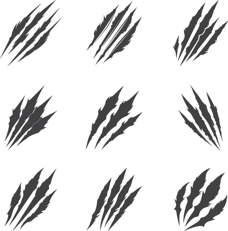 animal claw scratches mark set vector