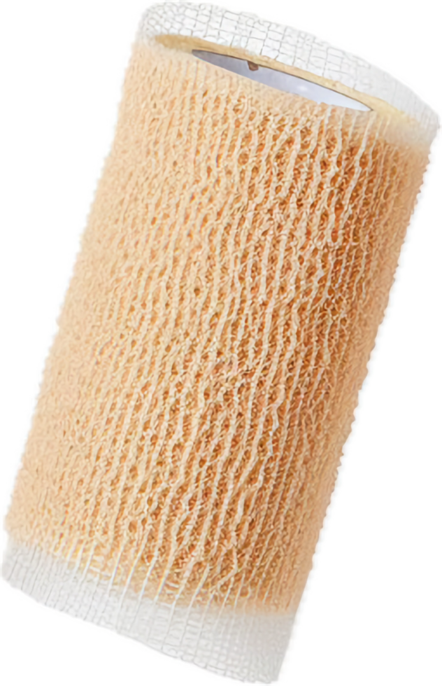 AI generated Natural Loofah Sponge png