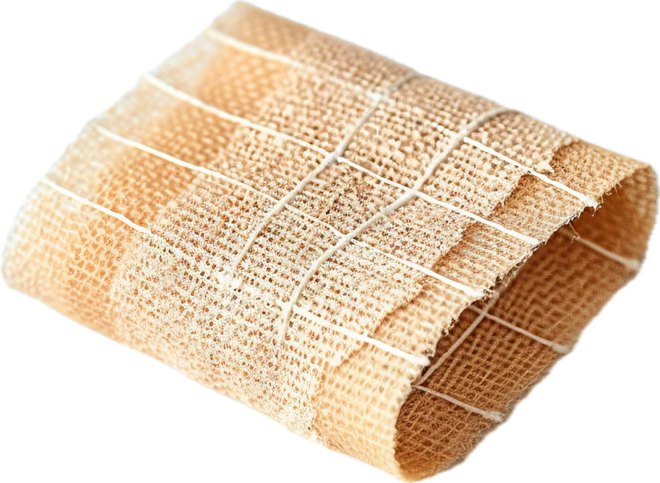 AI generated Natural Loofah Sponge png
