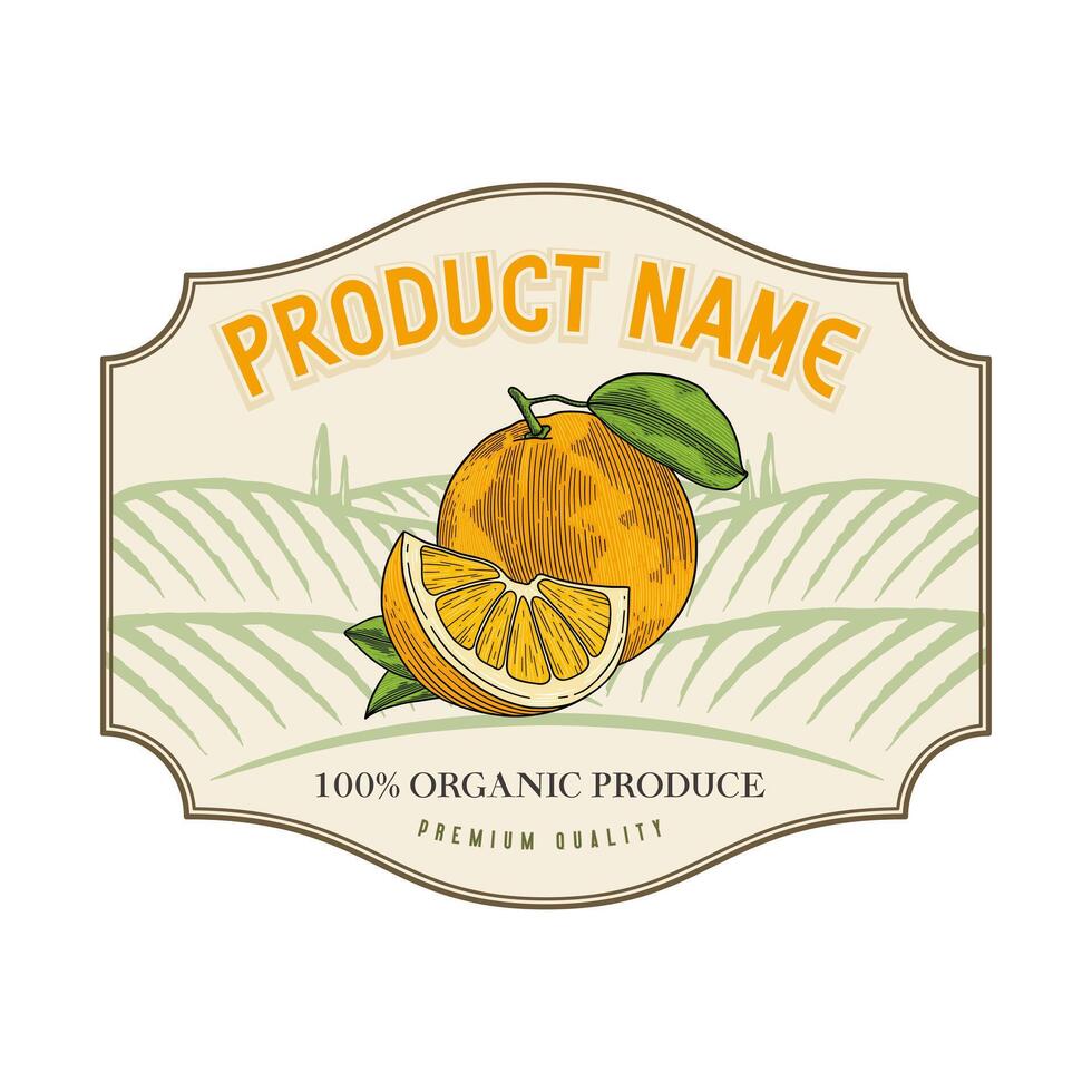hand drawn orange vector design