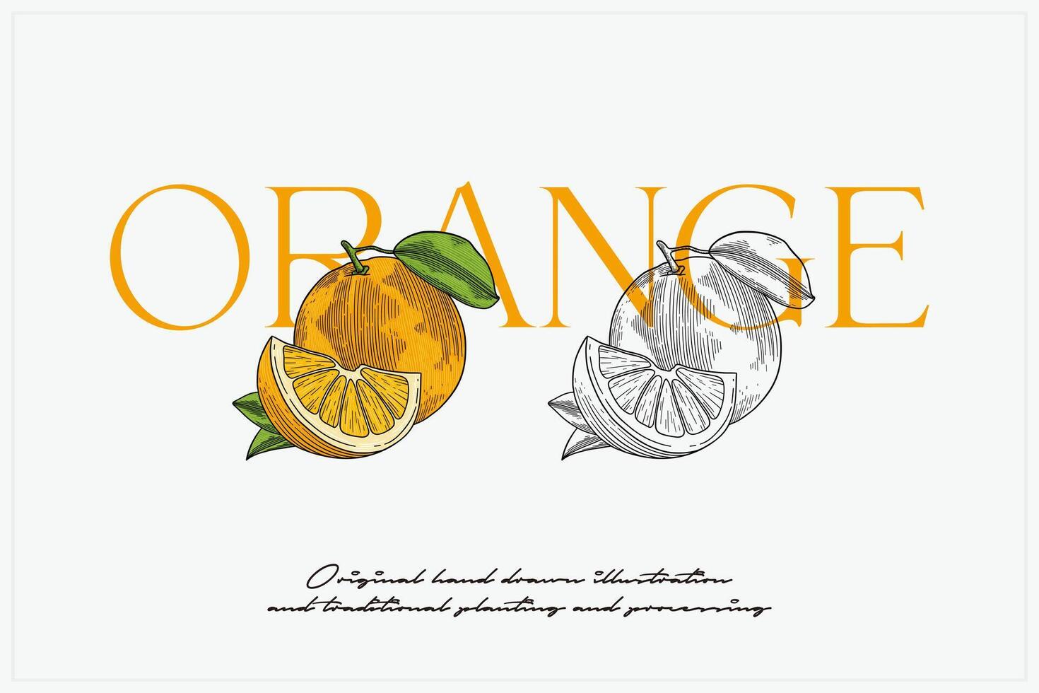 hand drawn orange vector illustration