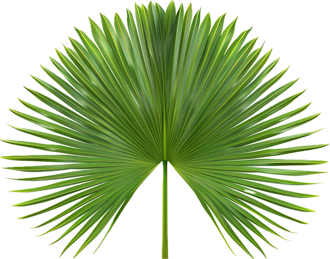 AI generated Lush Green Palm Leaves png