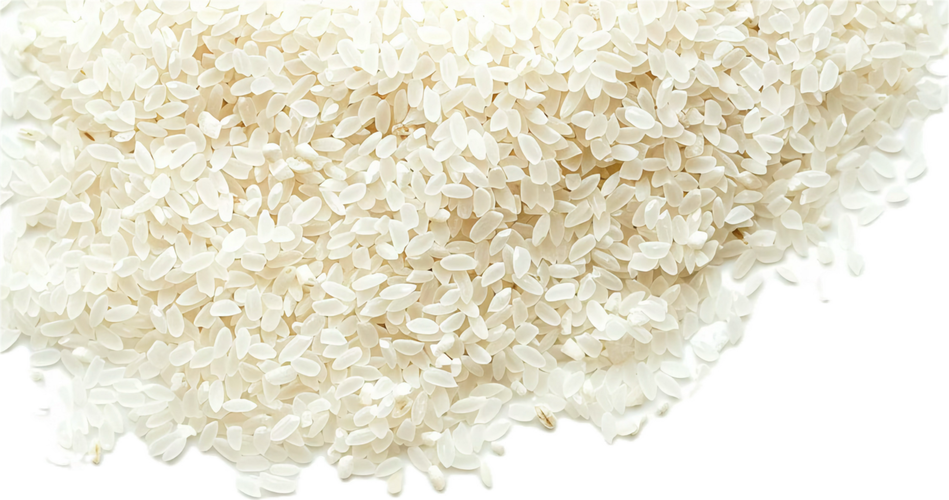 AI generated Heap of Uncooked White Rice png