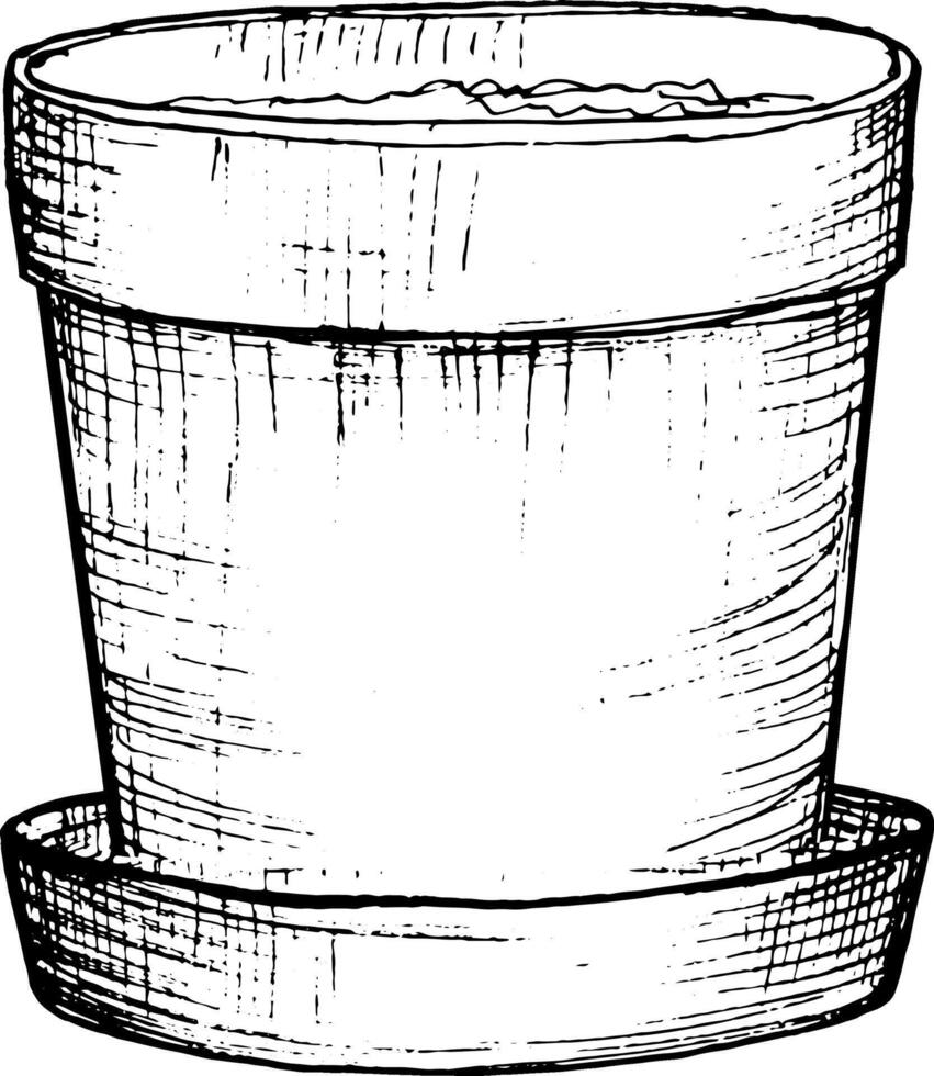 Vector graphic hand drawn drawing of flower pot.