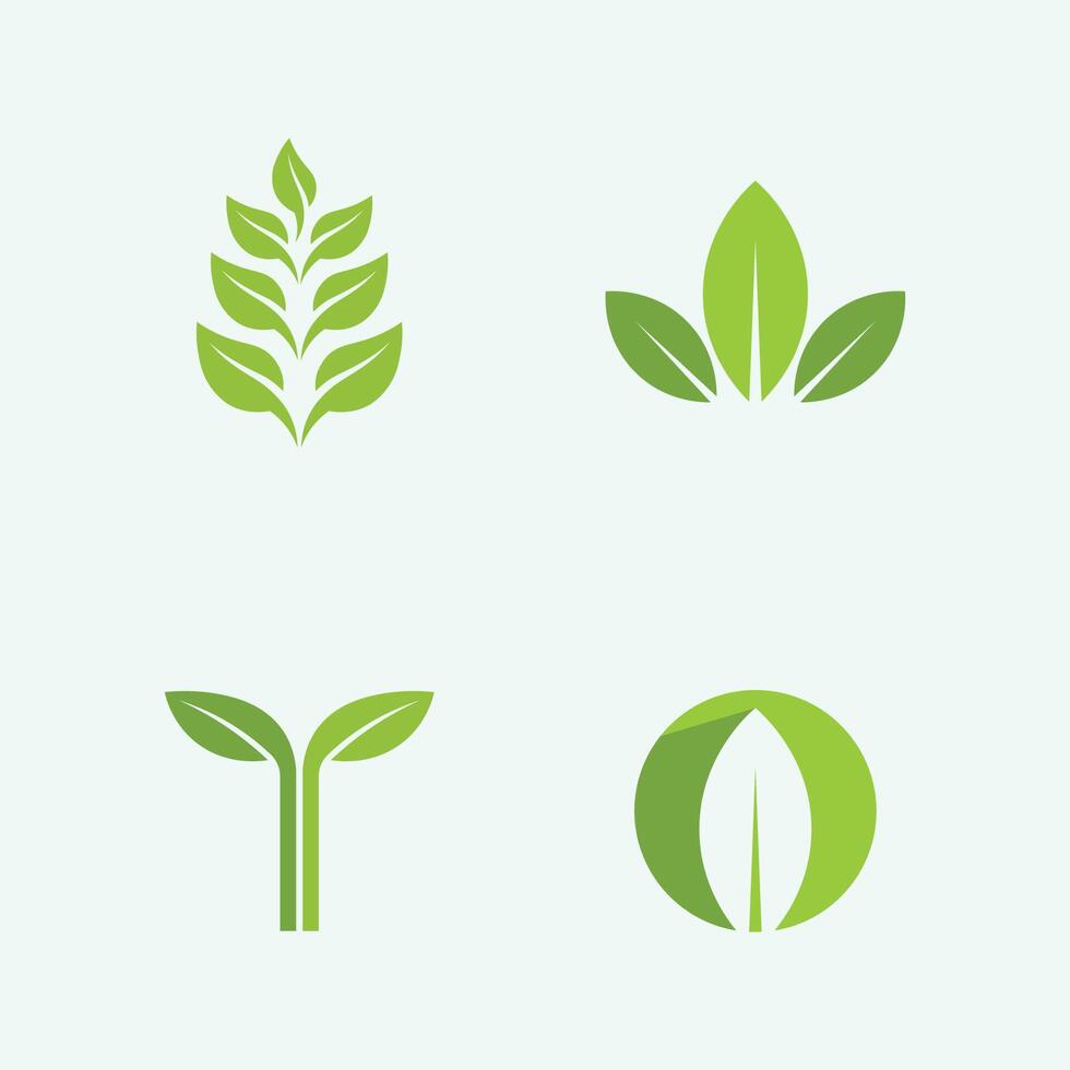 vector de diseño de logotipo de hoja para plantilla de símbolo de naturaleza editable, icono de vector de elemento de naturaleza de ecología de logotipo de hoja verde.