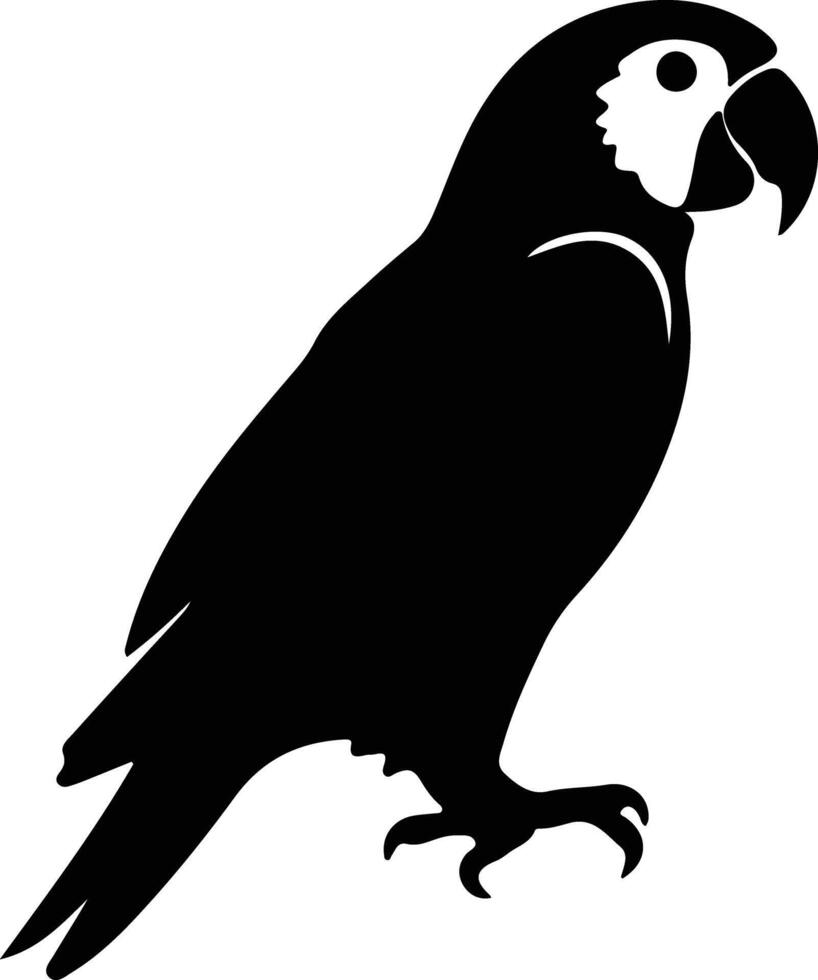 loro gris africano negro silueta vector