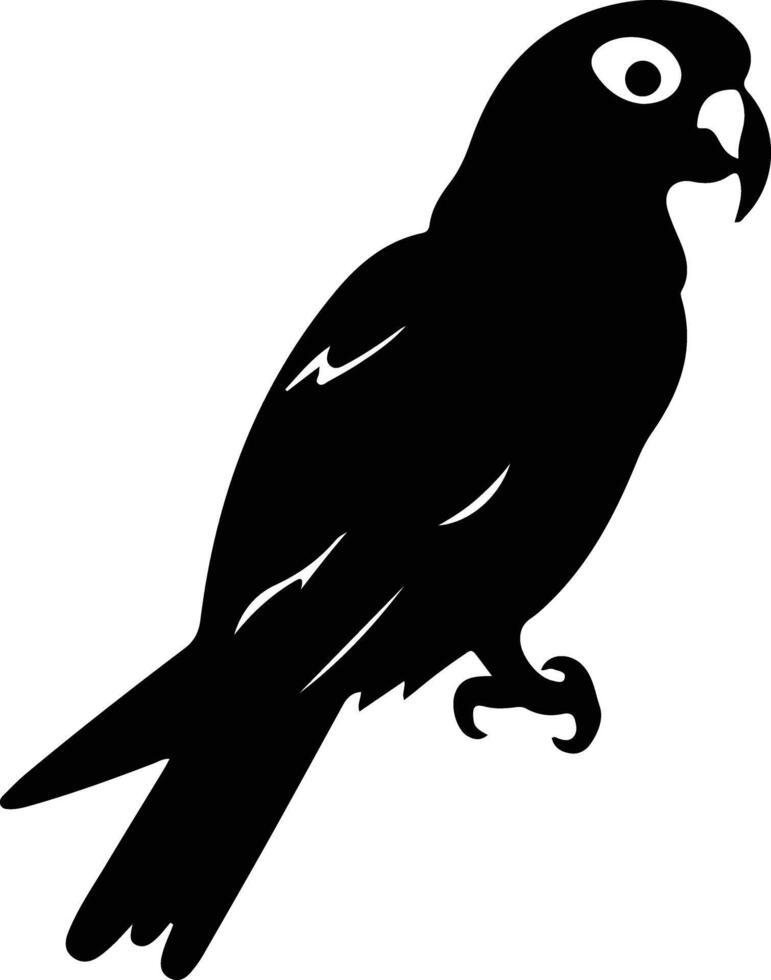 Africangrayparrot black silhouette vector