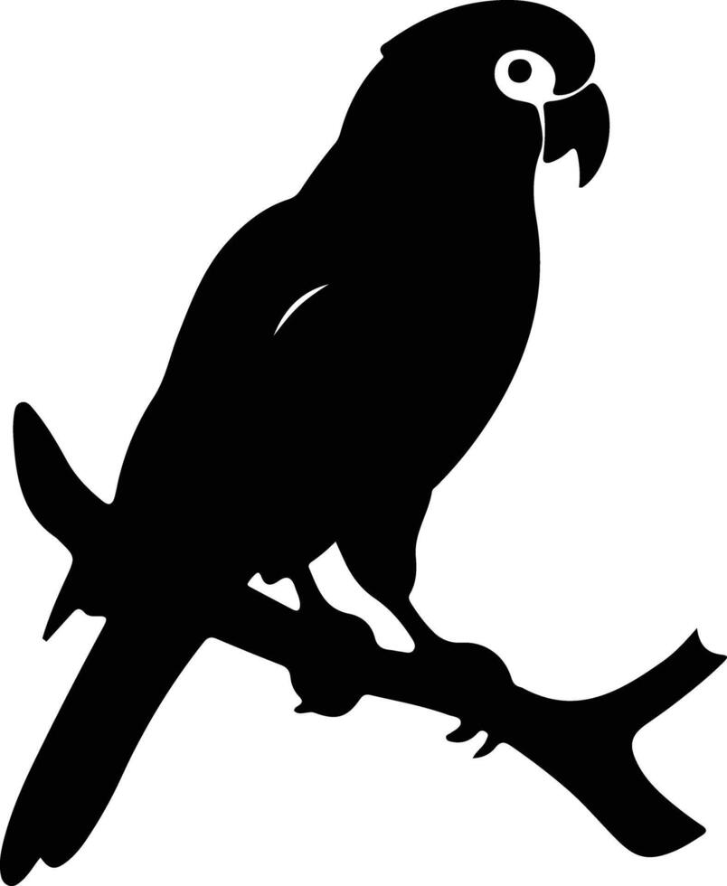 Africangrayparrot black silhouette vector
