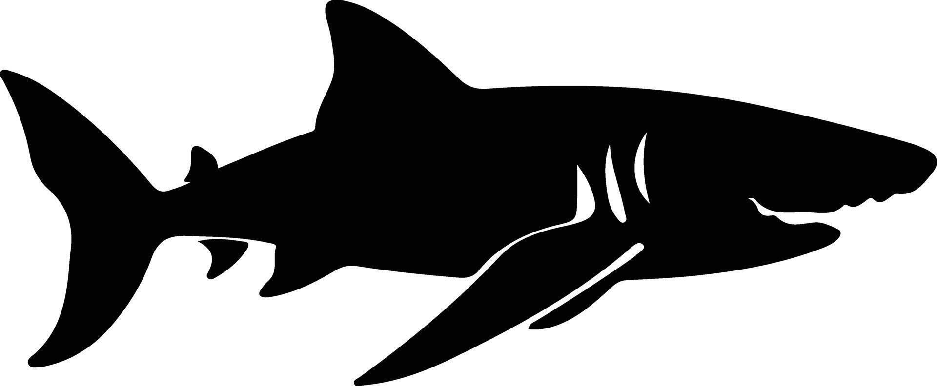 tiburón peregrino negro silueta vector