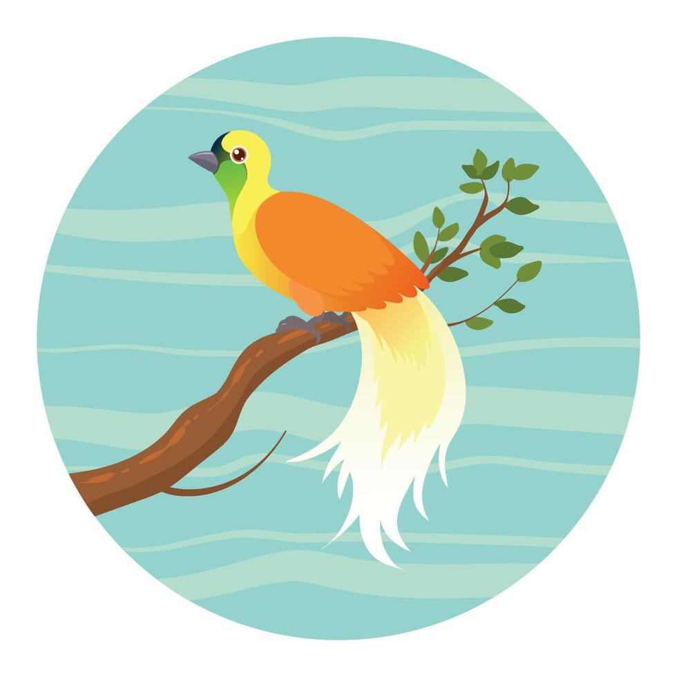 cendrawasih bird vector illustration